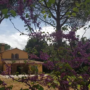 Il Montedoro Guardistallo